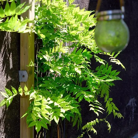 Lägenhet Wisteria On *
