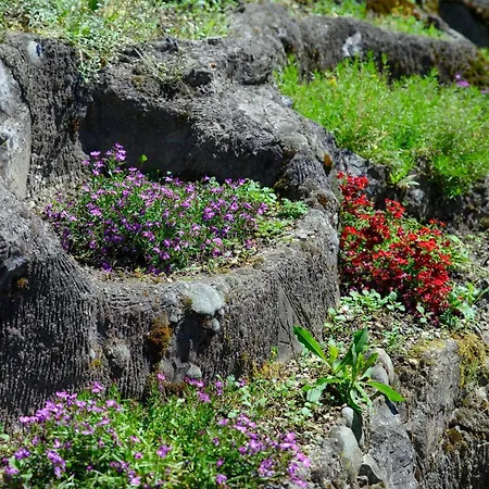 Wisteriaroom